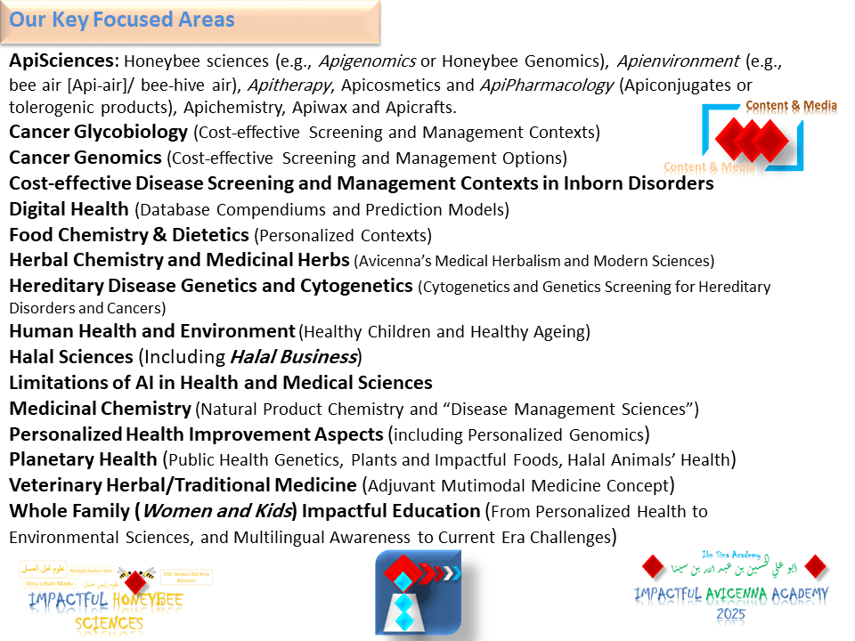 Our Key Focused Areas