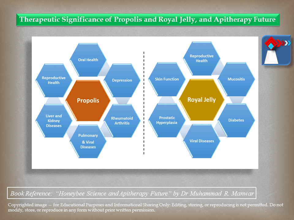 Therapeutic Significance of Propolis and Royal Jelly, and Apitherapy Future
